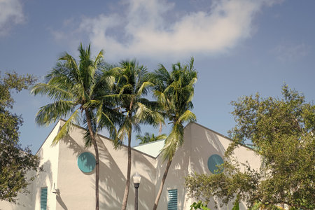 Building. Residential building architecture. Architectural exterior. House exterior fragment. Modern apartment building. Apartment building with balconies and palm trees. Southern architectureの写真素材