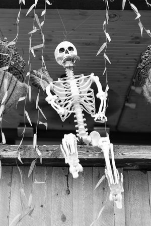 Celebrate All Hallows party holiday. All Hallows. October 31. Halloween skeleton outside. Happy Halloween. Spooky skull of skeleton. Day of dead. Dead Halloween skeleton. Trick or treatの写真素材