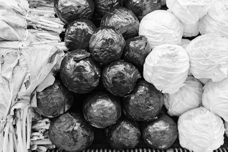 Organic food. Harvesting and farming. Organic vegetable red cabbage and greengrocery. Background of organic cabbage. Eco vegetable. Red cabbage background. Green grocery vegetable in food marketの写真素材