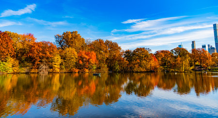 Central Park on sunny autumn day change colors. Autumn landscape. Fall nature. Rowboat on a small lake at the Central Park. Central Park Lake in autumn with people rowing boat. Rowboat rentalsの写真素材