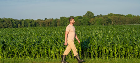 Faming and agriculture. Farmer man in cornfield. Harvest crop. Cornfield farmer. Agricultural cornfield harvest season. Man harvesting at crop field. Harvest man at field. Walking the fieldの写真素材
