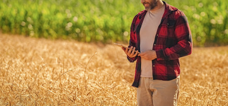Crop cultivation. Agriculture farm. Farm man at wheat field. Crop harvest and farming. Farmer in...