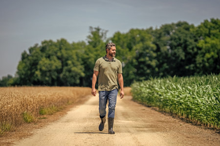 Countryside crop. Agronomist man harvesting at crop field. Ripe agriculture. Harvest man at field. Farmer agronomist. Crop harvest. Farmer wheat owner. Agricultural wheat at harvest timeの写真素材