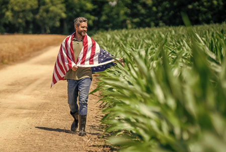 American flag and man farmer, harvest. Flag of USA. Independence day. Man in field. Patriotic man...