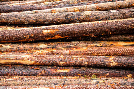 Firewood stacked in heap. A pile of stacked firewood. Firewood harvested for heating in winter....
