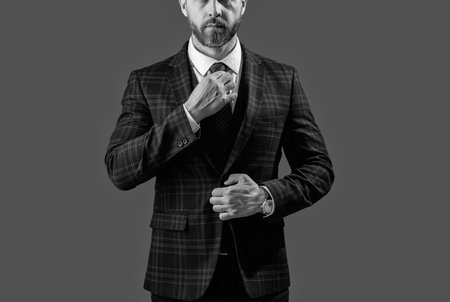 Man in formalwear, cropped view. Businessman in elegant suit. Formal suit jacket with tie isolated on grey. Businessman man in business jacket. Business suit. Formal menswear. Formal Etiquetteの写真素材