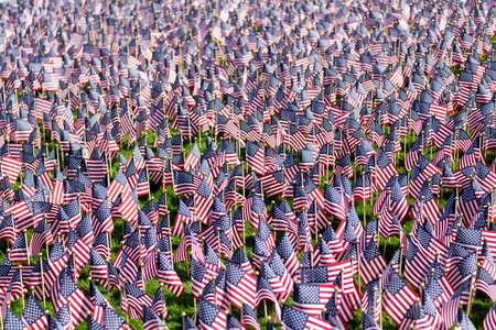 Flag of USA. National flag united states background. Independence day. Patriotic symbol. American...