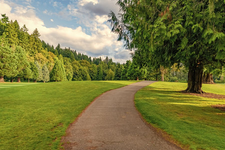 Summer park zone nature. Scenic landscape of woodland. Shady park pathway. Nature of forest. Green forest wood landscape in summer. Path way. Nature of mixed forest. Landscape of meadow at parkの写真素材