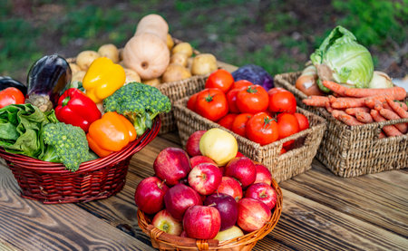 Healthy farming and harvesting. Vitamin harvest. Basket full of vegetable. Healthy food and diet. Dieting with organic vegetable harvest. Autumn vegetable harvest. Harvesting in farmの写真素材