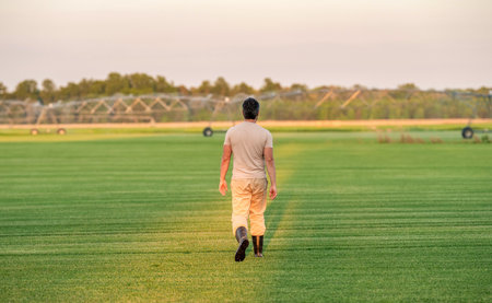 Man at irrigation system watering agricultural field. Farmer man in countryside, back view. Water sprinkler irrigating crop field. Drip irrigation system. Crop irrigation. Agriculture and farmingの写真素材