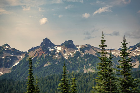 Scenery landscape of mountain. Scenery coniferous forest. Pine tree and mountain forest landscape. Mountain landscape. Forest nature mount. Nature in mountain countryside. Breathtaking wildernessの写真素材
