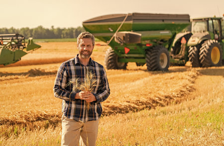 Ripe agriculture. Harvest man at field. Farmer agronomist. Crop harvest. Farmer check wheat. Agricultural wheat at harvest time. Countryside crop. Agronomist man harvesting crop field.の写真素材