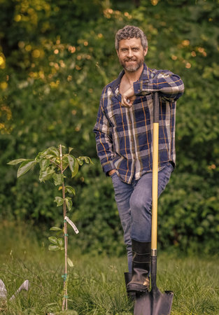 Man planting a tree with shovel. Work in spring yard with garden tool. Planting and growing plant. Planting tree. Gardening and farming. Farmer with shovel. Gardener planting in spring gardenの写真素材