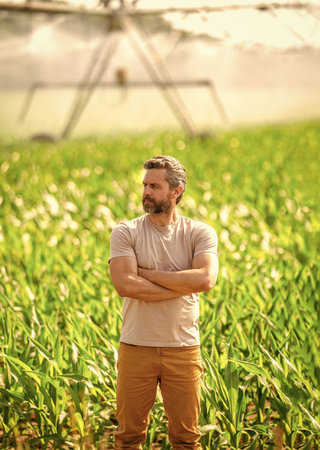 Agriculture and farming. Man at irrigation system watering agricultural field. Farmer man in agricultural farmland. Water sprinkler irrigating crop field. Drip irrigation system. Crop irrigationの写真素材