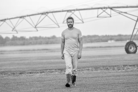 Crop irrigation. Agriculture and farming. Man at irrigation system watering agricultural field. Farmer man. Water sprinkler irrigating crop field. Drip irrigation system. Agriculture irrigationの写真素材