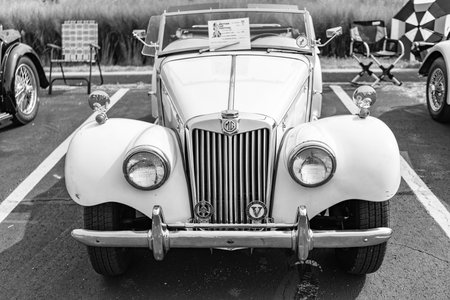 Chicago, Illinois, USA - September 08, 2024: MG TF retro sportscar 1950 convertible vehicle, front view. Retro sportscar. Convertible MG TF car. MG TF whiteのeditorial素材