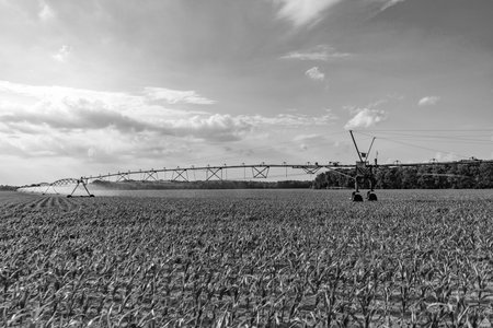 Agriculture and farming. Irrigation system watering agricultural field in countryside. Organic...