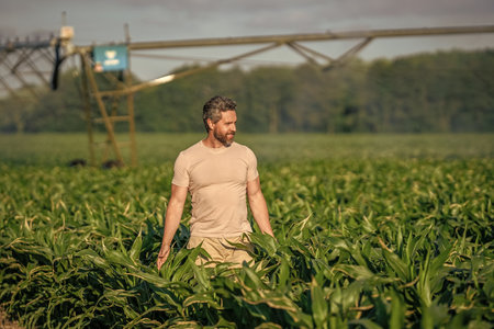 Man at irrigation system agricultural field. Farmer man in countryside. Irrigating crop field. Drip...