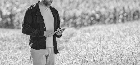 Crop cultivation. Agriculture farm. Farm man at wheat field. Crop harvest and farming. Farmer in...