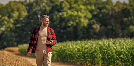 Farmer agronomist man with tablet in cornfield. Technology of modern agriculture. Farmer man working on field with tablet. Hispanic farmer with tablet check harvest. Crop harvest. Copy space bannerの写真素材