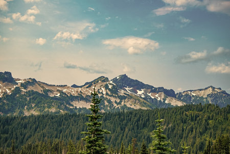 Scenery landscape of mountain. Scenery coniferous forest. Pine tree and mountain forest landscape. Mountain landscape. Forest nature mount. Nature in mountain countryside. Breathtaking wildernessの写真素材