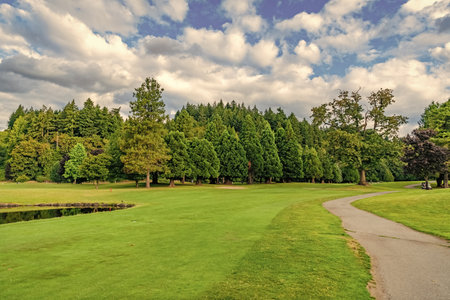 Path way. Nature of mixed forest. Landscape of meadow at park. Summer park zone nature. Scenic landscape of woodland. Public park. Nature of spacious forest. Green forest wood landscape in summerの写真素材