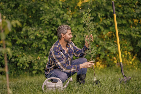 Planting and watering tree. Environment and ecology. Man take care of plant, gardening. Seedling for planting tree. Gardening. Growing a young tree. Volunteer planting treeの写真素材