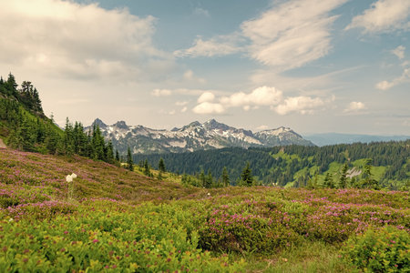 Mountainous landscape with cloudy sky. Scenic green hill mountain. Breathtaking summer day in wild...