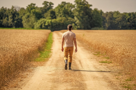 Crop harvest and farming. Farmer in field. Hispanic man farmer check agriculture field harvest. Man agronomist farmer. Crop protection. Agriculture farm. Farm man at wheat field. Rural farming viewの写真素材