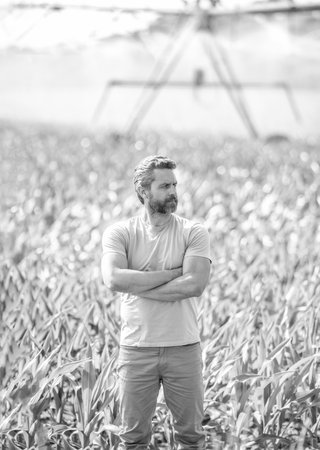 Agriculture and farming. Man at irrigation system watering agricultural field. Farmer man in agricultural farmland. Water sprinkler irrigating crop field. Drip irrigation system. Crop irrigationの写真素材