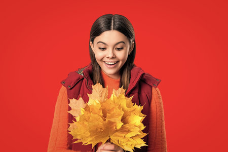Teen girl hold autumn leaf. Happy girl having fun with maple leaf isolated on red. Autumn nature in...