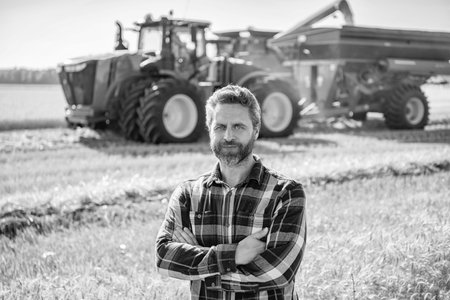 Agronomist man harvesting at crop field. Ripe agriculture. Harvest man at field. Farmer agronomist....