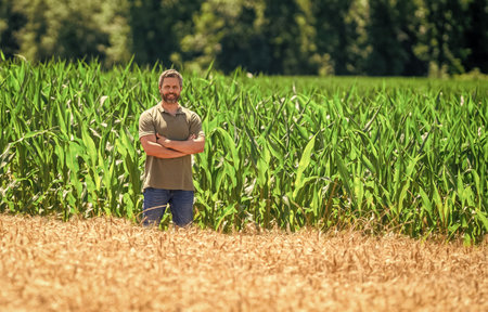 Faming and agriculture. Farmer man in cornfield. Harvest crop. Copy space. Agricultural cornfield...