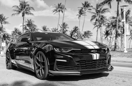 Miami, Florida, USA - December 22, 2024: Luxury car Chevrolet Camaro. Car black yellow Chevy Camaro outdoor. Chevrolet Camaro, corner view. 2020 Chevrolet Camaro Chevy black yellow sportscar carのeditorial素材