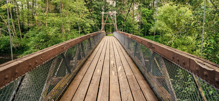 Path way on bridge in forest. Adventure route way path. Suspension bridge. Travel destination. Destination route way. Touristic pathway outdoor