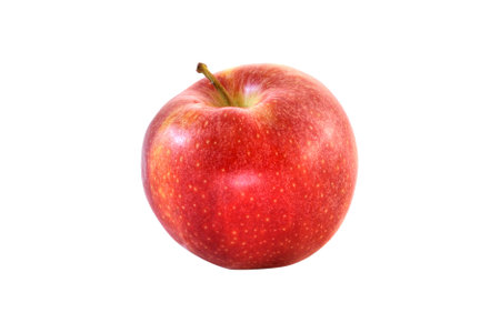 Fresh red apple on a white background - optionalの写真素材