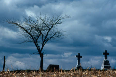 Graves on a hilltopの写真素材