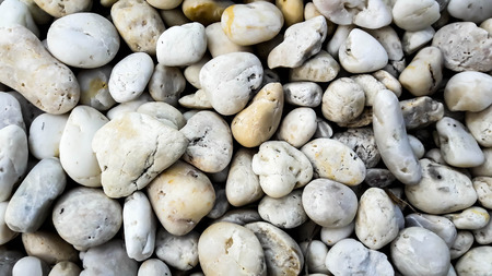 White stones were sprinkled on ground which is beside swimming pool in order to protect water leak to around space.の写真素材