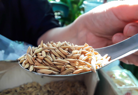 A lot of paddy is in box and some of them were dipped in the spoon. Focusing paddy on spoon.の写真素材