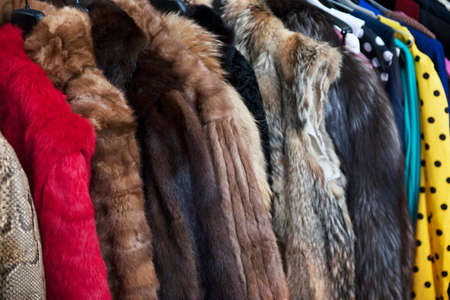 Fashionable winter and autumn clothes for women. Studio shoot.の写真素材