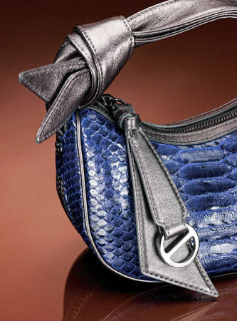 Fashionable and stylish detail handbag for woman. Studio shoot.