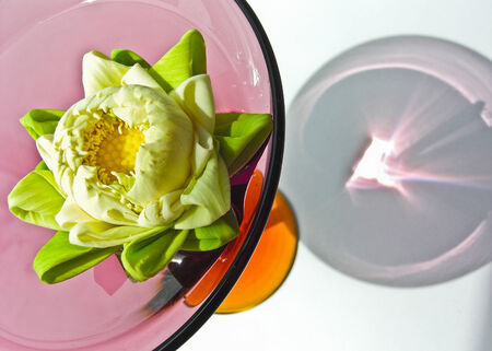 a white water lily in the round glassvaseの写真素材