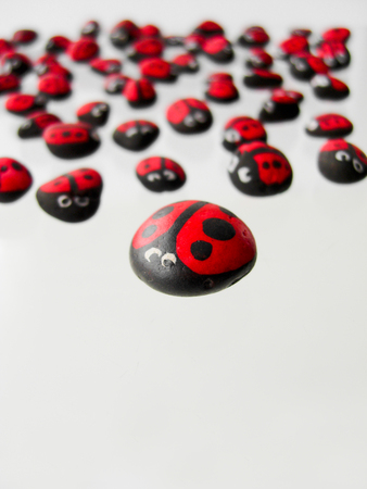 ladybirds painted on cobblestone in isolated white backgroundの写真素材