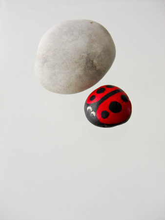 ladybirds painted on cobblestone in isolated white backgroundの写真素材