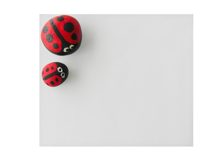 ladybird painted on cobblestone on paper in isolated white backgroundの写真素材