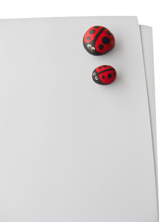 ladybird painted on cobblestone on paper in isolated white backgroundの写真素材
