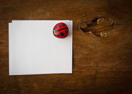 leaf ladybird and paper on wooden backgroundの写真素材