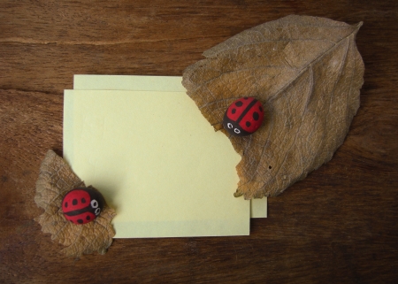 dry leaf ladybird and paper on wooden backgroundの写真素材