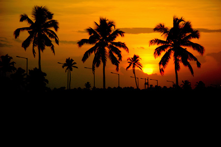 Golden Hoursの写真素材