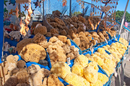 Sea sponges on Rhodes Island の写真素材